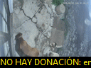 06:07:16