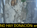 06:11:39