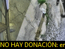 00:33:41