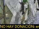 05:03:02