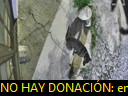 05:04:12