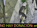 05:06:18