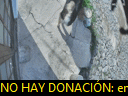 09:34:25