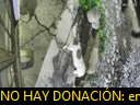 04:23:43