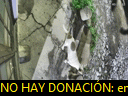 04:24:05