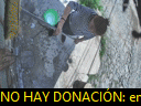 14:10:05