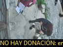 17:20:04