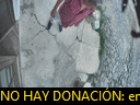 17:24:21