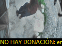 17:33:35