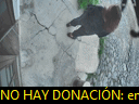 17:37:08