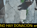 17:37:30