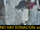 17:38:33