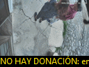 17:38:37