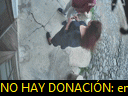 17:38:59