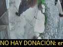 17:39:14