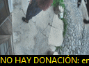 17:39:25