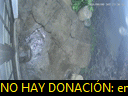 00:37:28