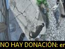 09:42:37
