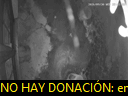 00:44:21