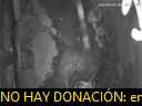 00:48:15
