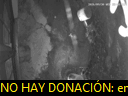 00:48:36