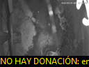 00:49:19