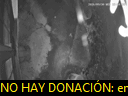 00:55:24