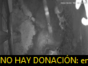 01:00:38