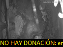 01:19:33