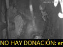 01:19:54