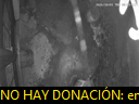 01:20:36
