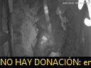 02:04:59