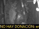 02:08:58