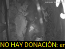 02:09:41