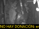 02:15:21