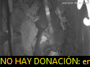 02:17:09