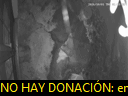 02:19:22