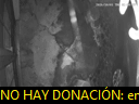 02:31:02