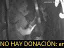02:36:43