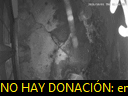 02:41:03