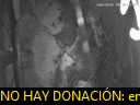 02:43:32