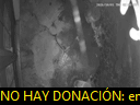 03:09:24