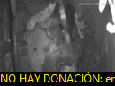03:10:07