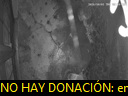 03:10:42