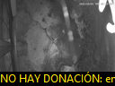 03:18:52