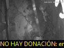 03:19:13