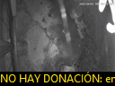 03:21:21