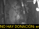 03:23:29