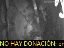 03:31:06