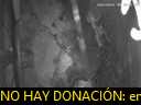 03:32:59